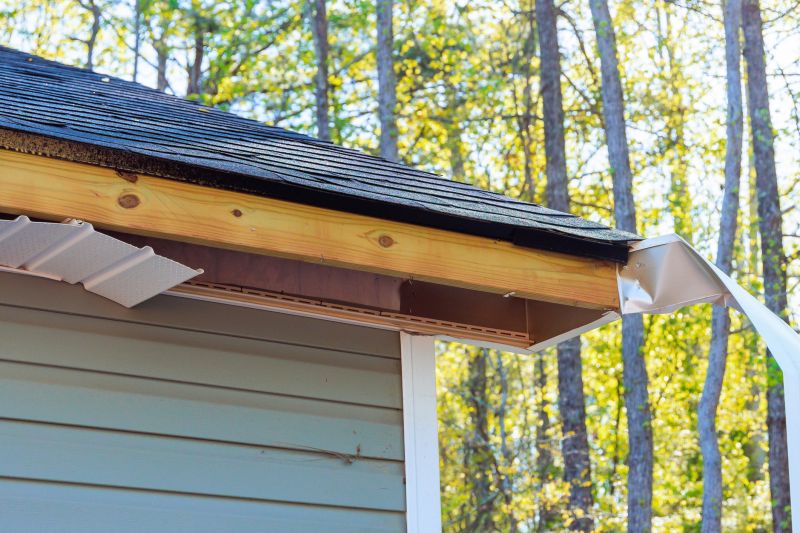 Garage Fascia Repair in Conroe, TX